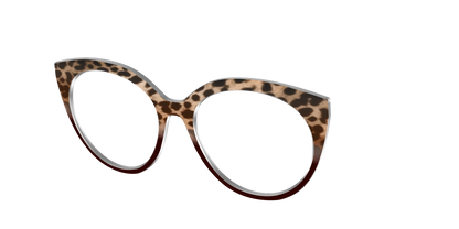 The Jungle Cat Tortoise