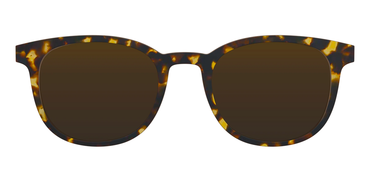 The Polarized Tortoise Sun Top