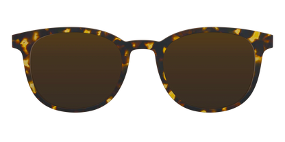 The Polarized Tortoise Sun Top