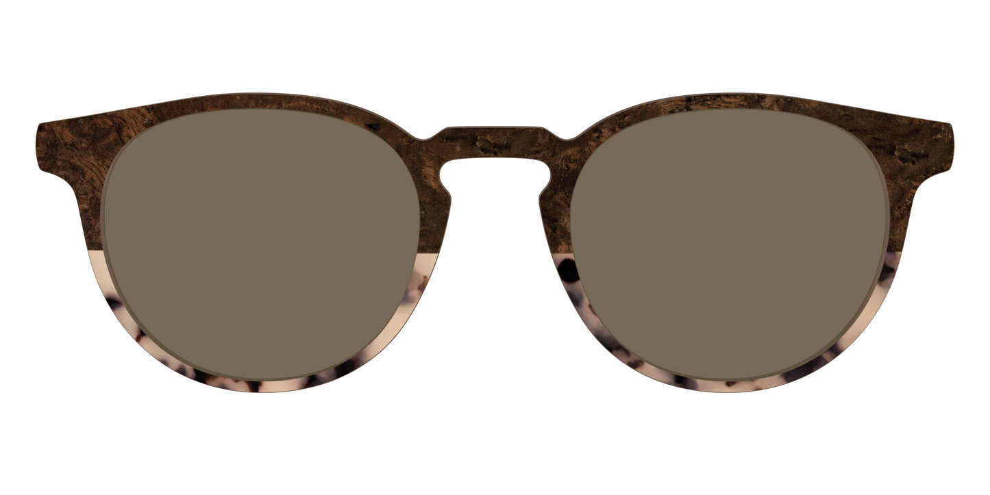 The Polarized Dark Oak Tortoise Split Sun Top