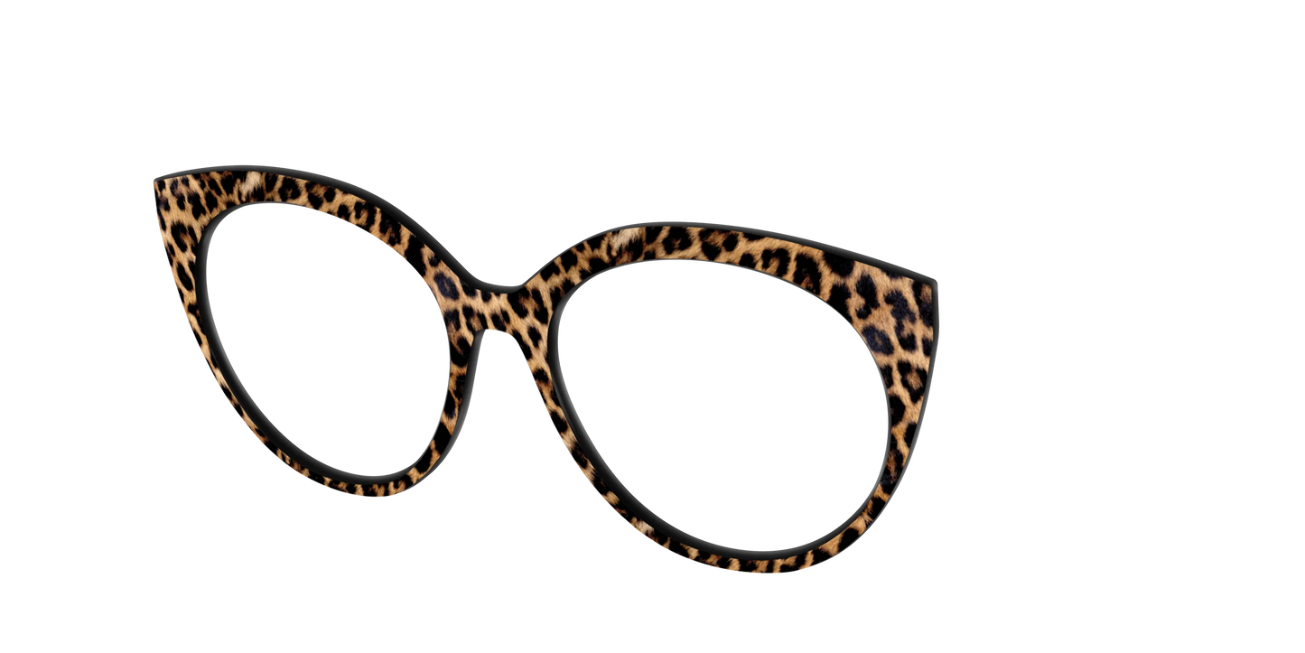 The Cheetah Spots