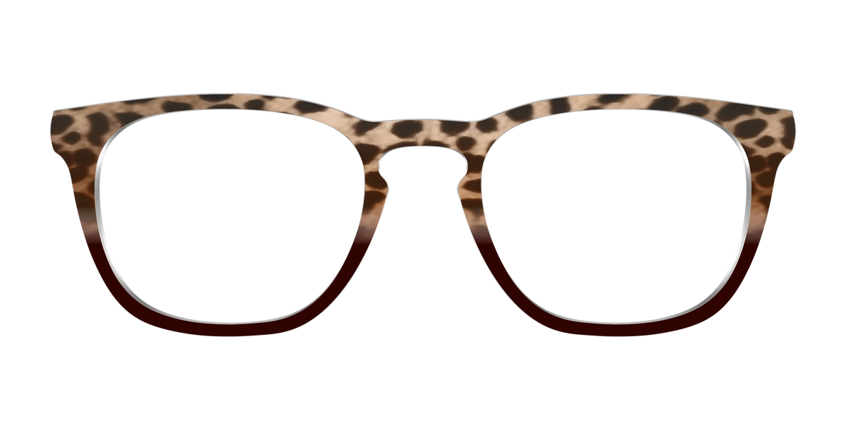 The Jungle Cat Tortoise
