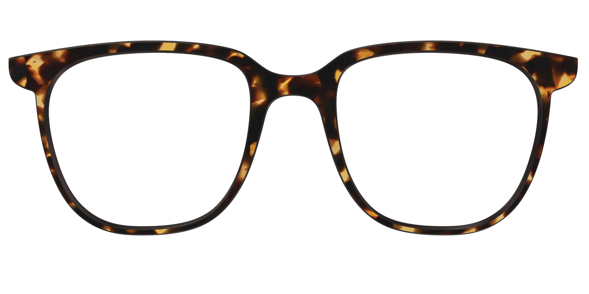 The Tortoise