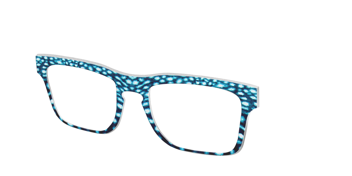 The Whale Shark Spots