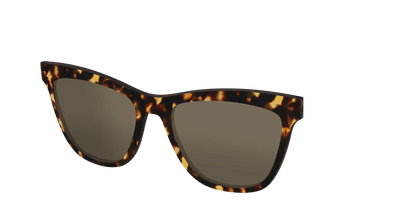The Non-Polarized Tortoise Sun Top