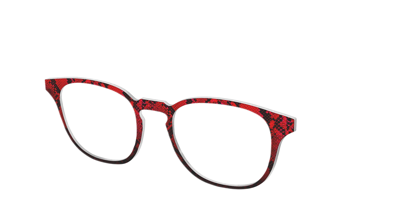 The Statement Snakeskin