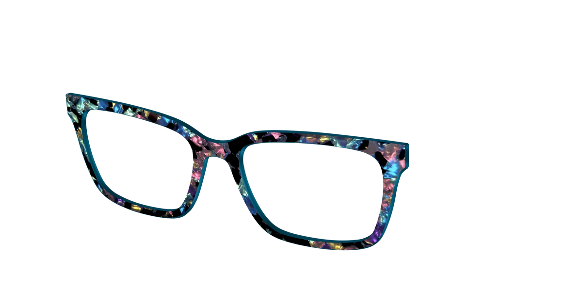 The Black Prismatic Pearl Tortoise