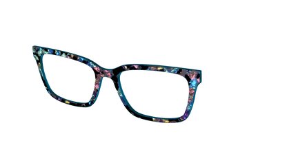 The Black Prismatic Pearl Tortoise
