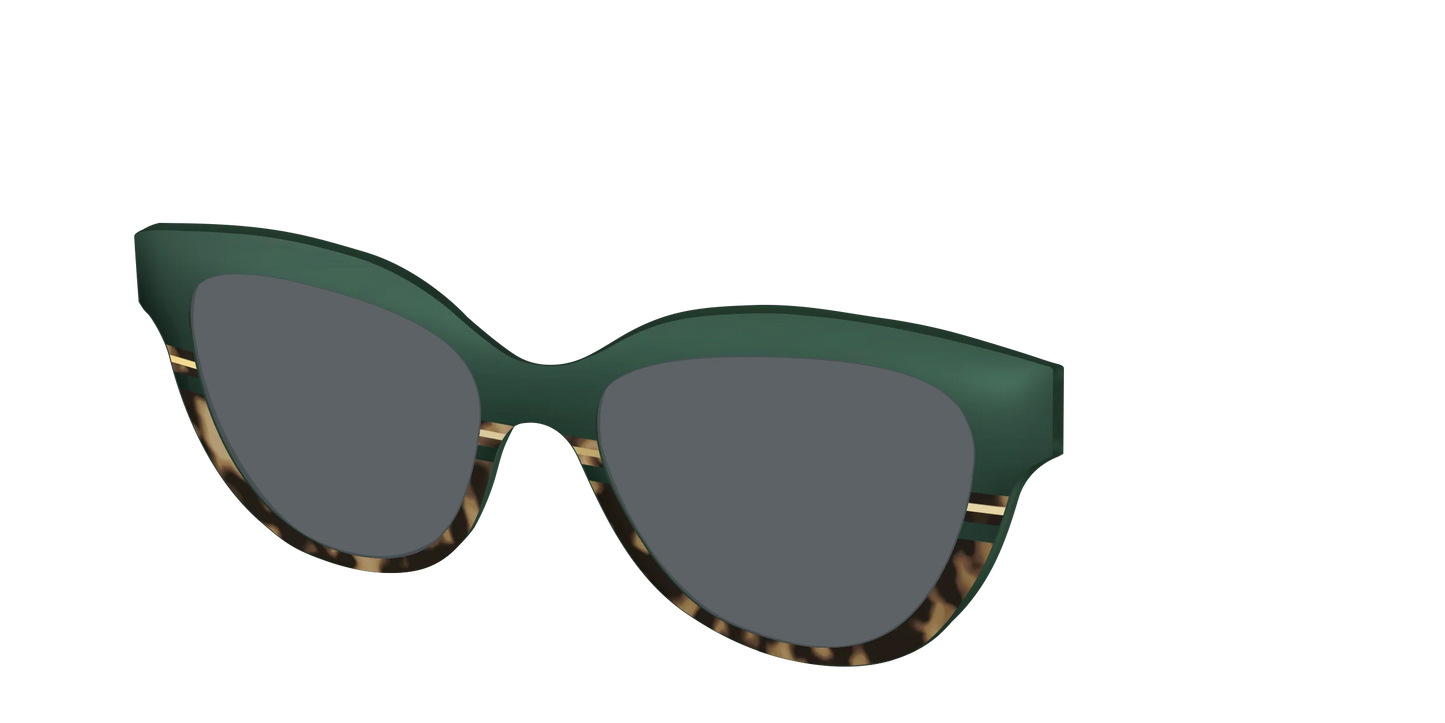 The Polarized Spruce Tortoise Sun Top