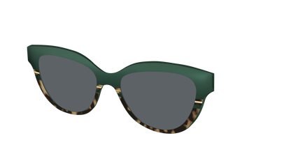 The Polarized Spruce Tortoise Sun Top
