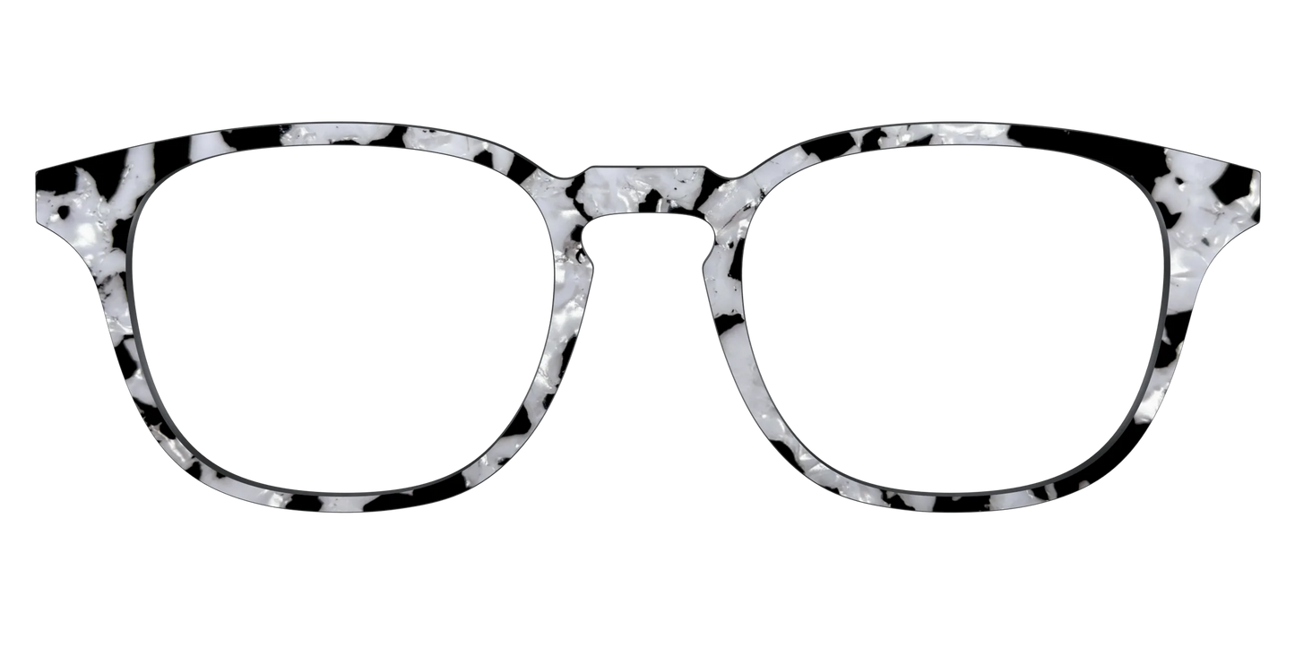 The Black & White Pearl Tortoise