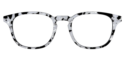 The Black & White Pearl Tortoise