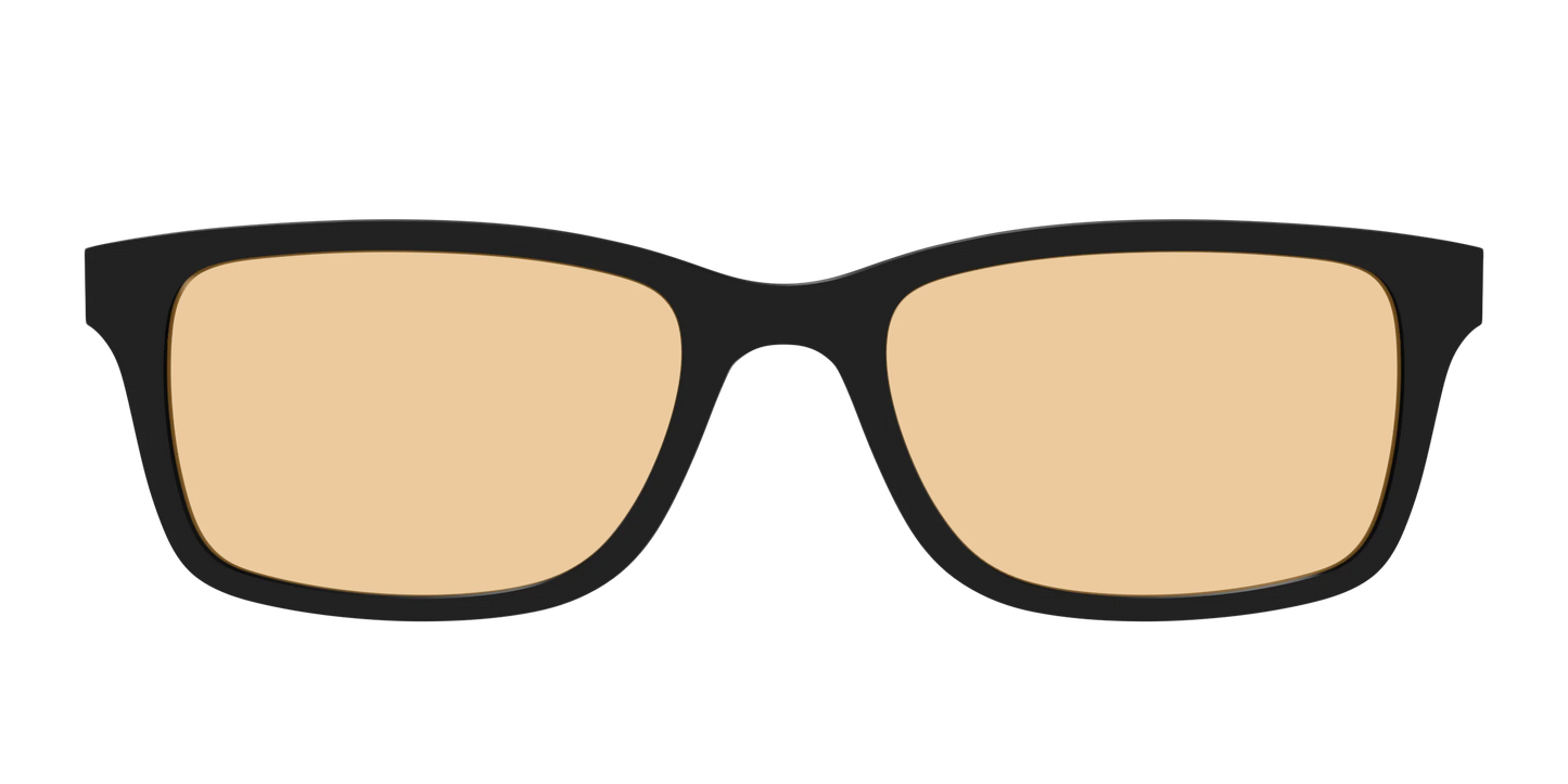 The Black With Umber Brown Lens