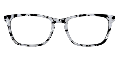 The Black & White Pearl Tortoise