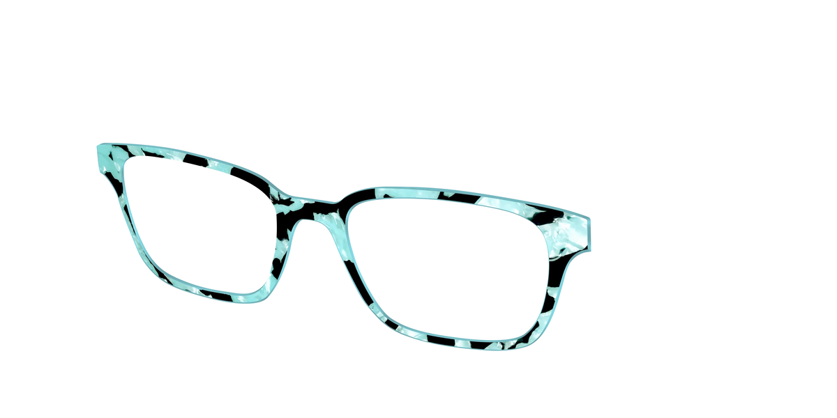 The Robin's Egg Pearl Tortoise