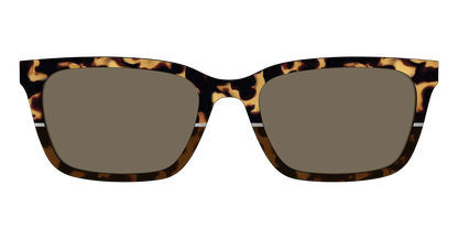 The Polarized Chic Tortoise Split Sun Top