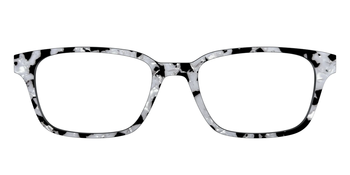 The Black & White Pearl Tortoise