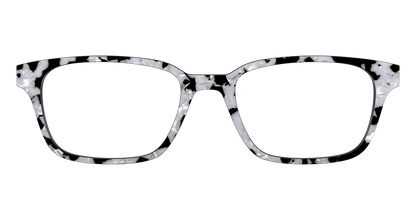 The Black & White Pearl Tortoise