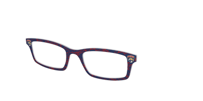The Panthers® Ice