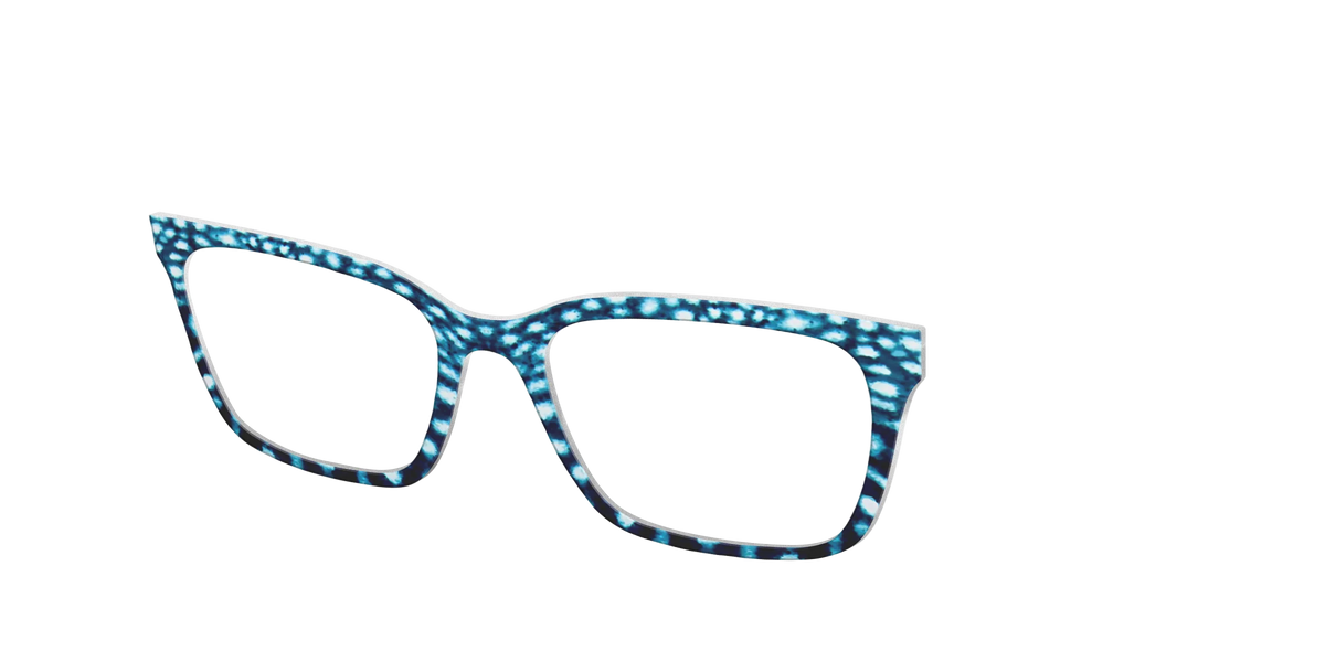 The Whale Shark Spots