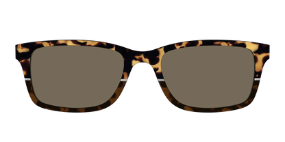 The Polarized Chic Tortoise Split Sun Top