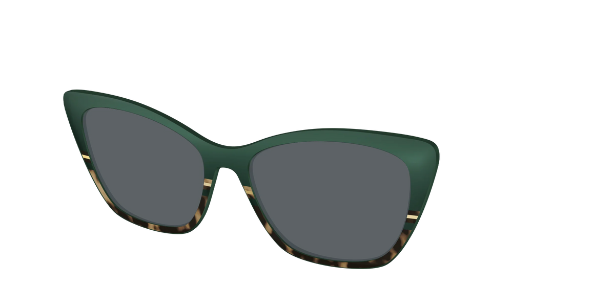 The Polarized Spruce Tortoise Sun Top