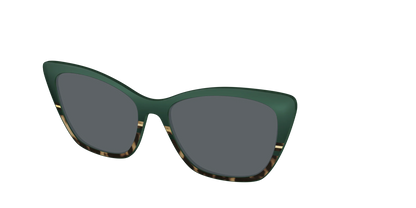 The Polarized Spruce Tortoise Sun Top