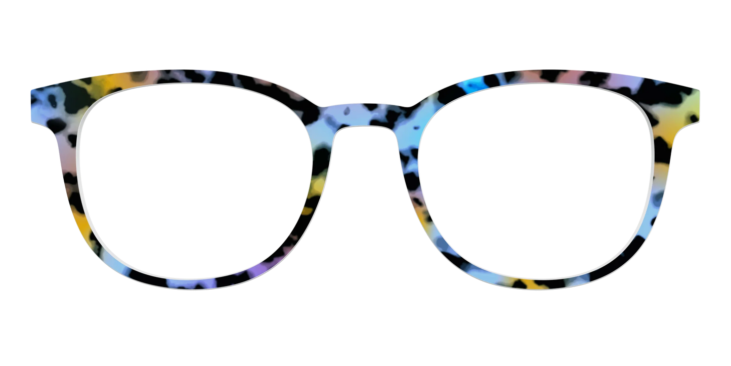 The Positano Tortoise