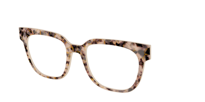 The Almond Tortoise with Gold Streaks