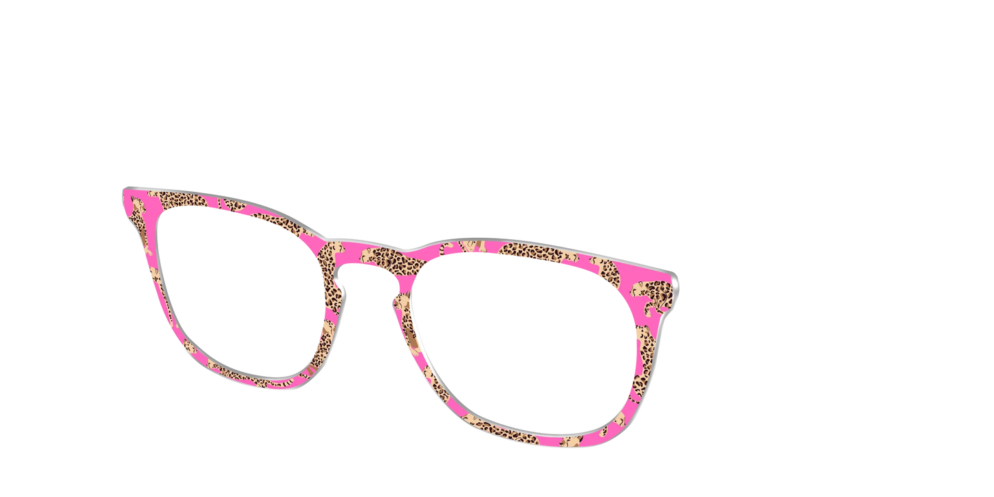 The Hot Pink Cheetahs