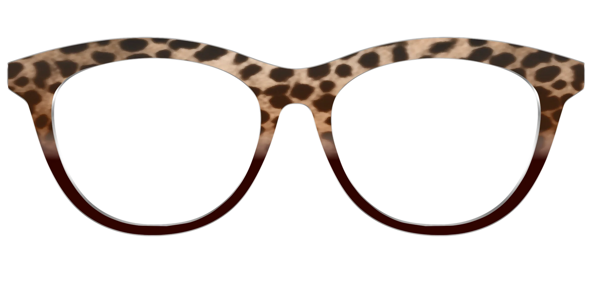 The Jungle Cat Tortoise