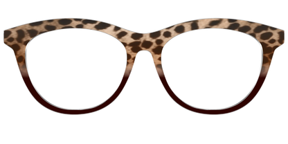 The Jungle Cat Tortoise
