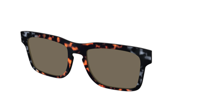 The Polarized Gray & Amber Tortoise Sun Top