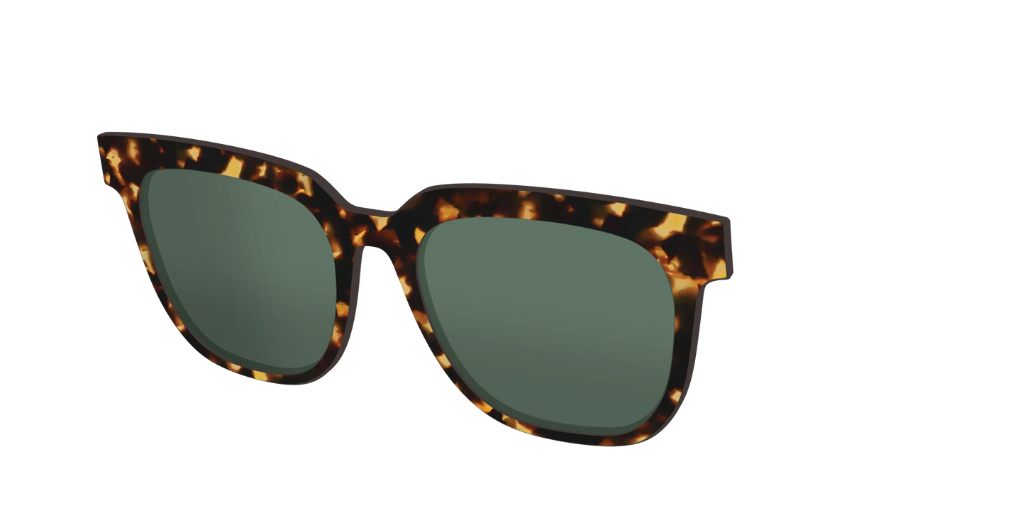 The Non-Polarized Green Tortoise Sun Top