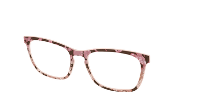 The Pale Peach Pearl Tortoise