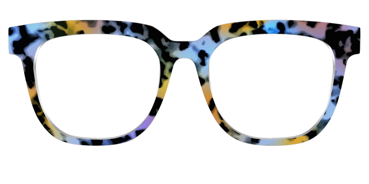The Positano Tortoise