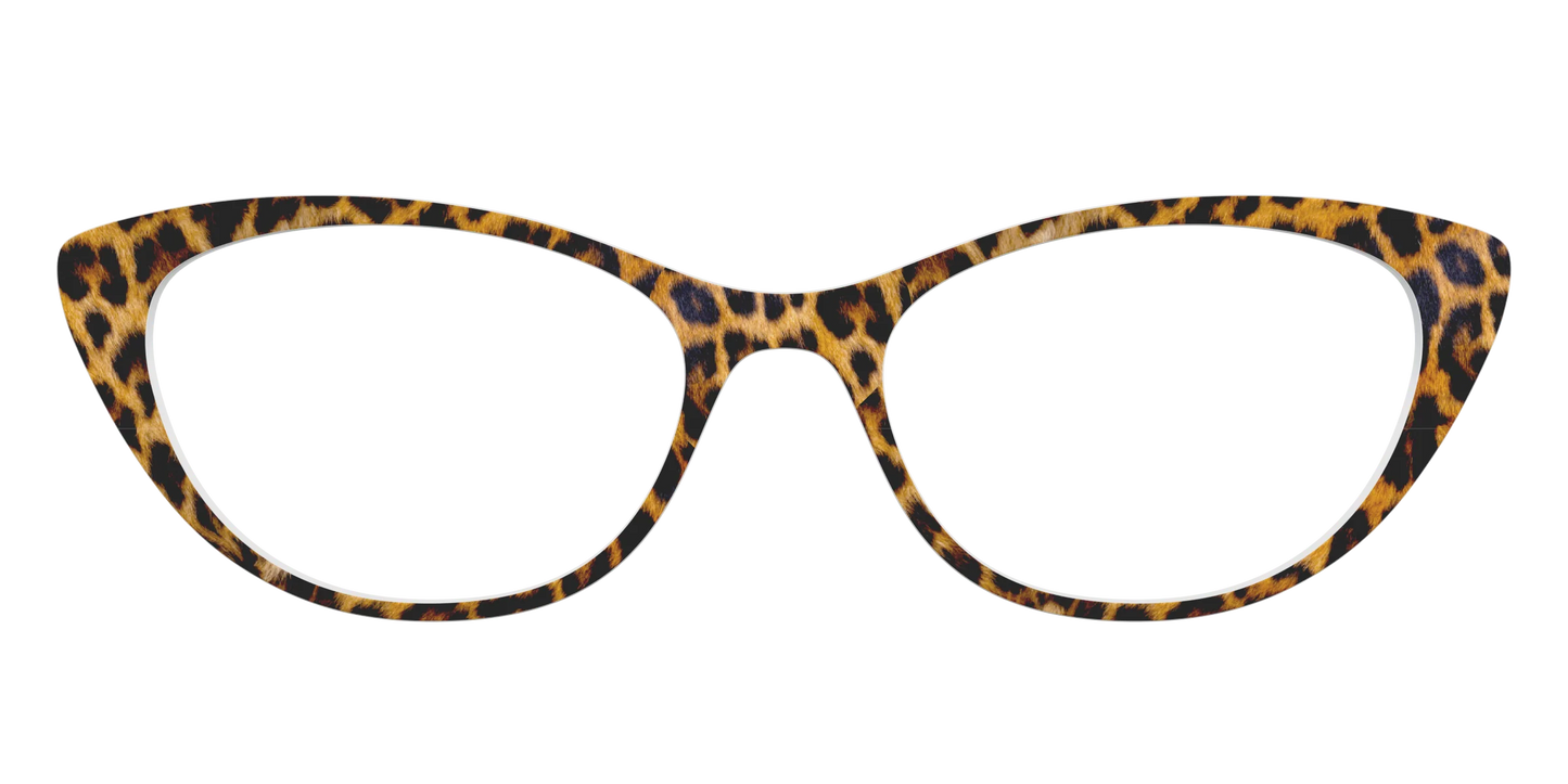 The Cheetah Spots
