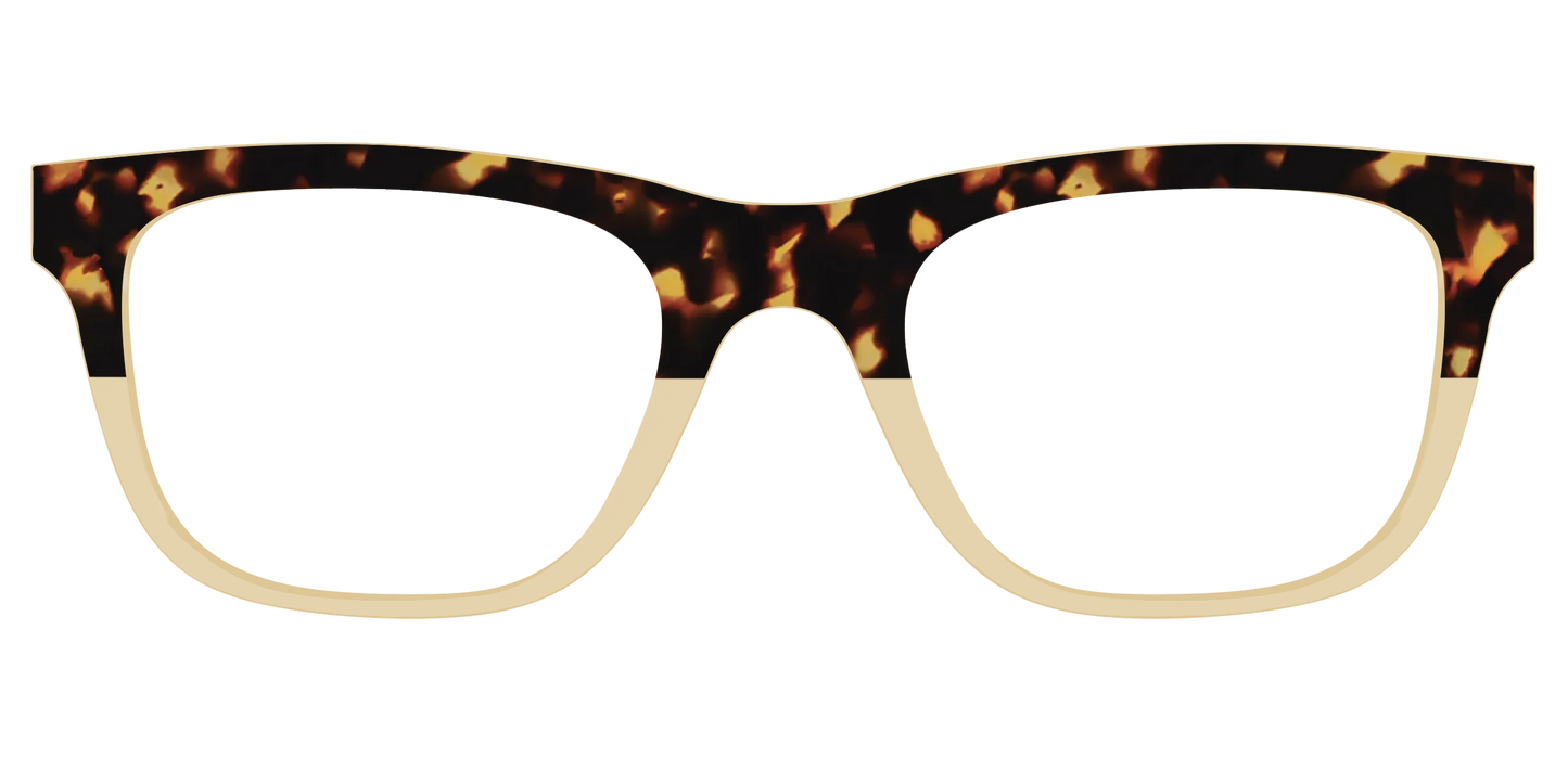 The Amber Tortoise Crystal Split