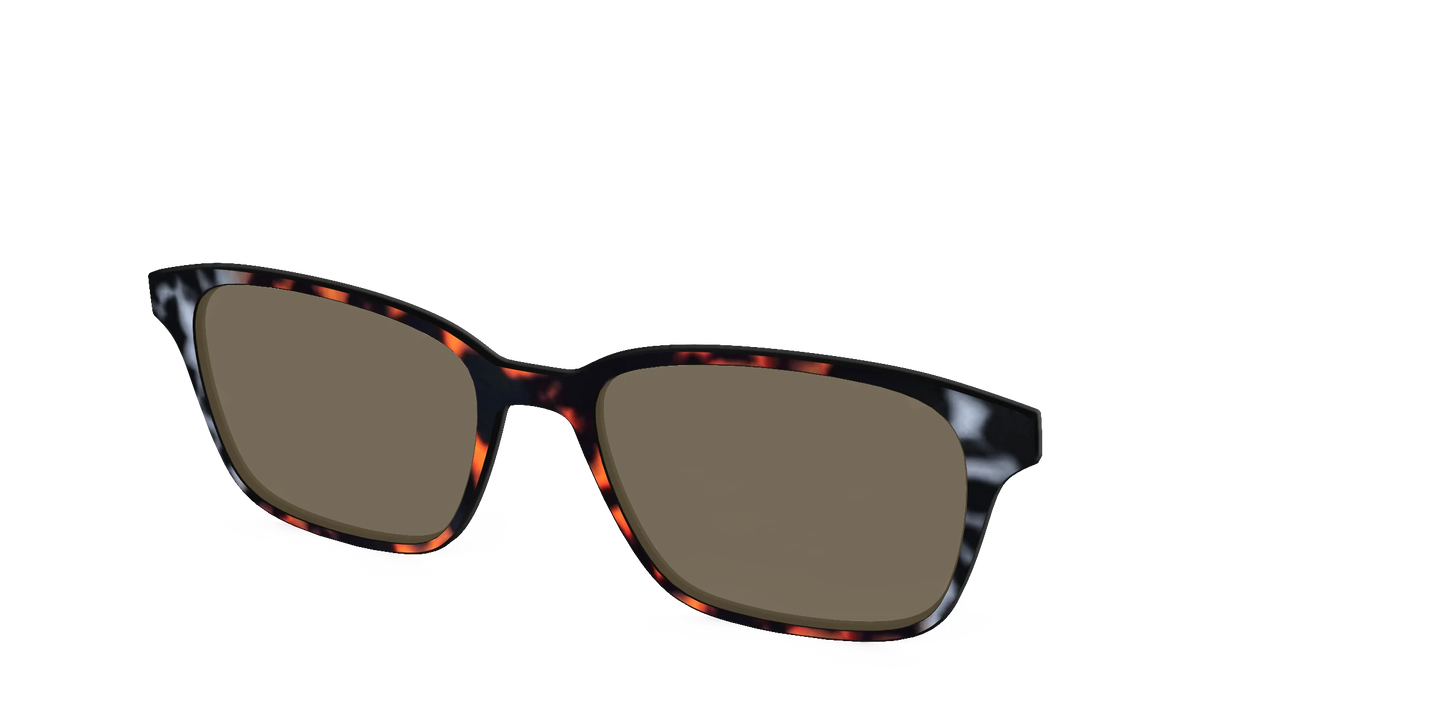 The Polarized Gray & Amber Tortoise Sun Top