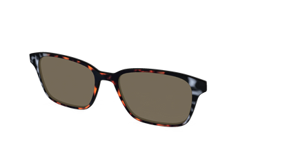 The Polarized Gray & Amber Tortoise Sun Top