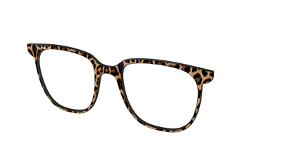 The Cheetah Spots