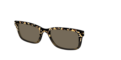 The Polarized Caramel Tortoise Horn Split Sun Top