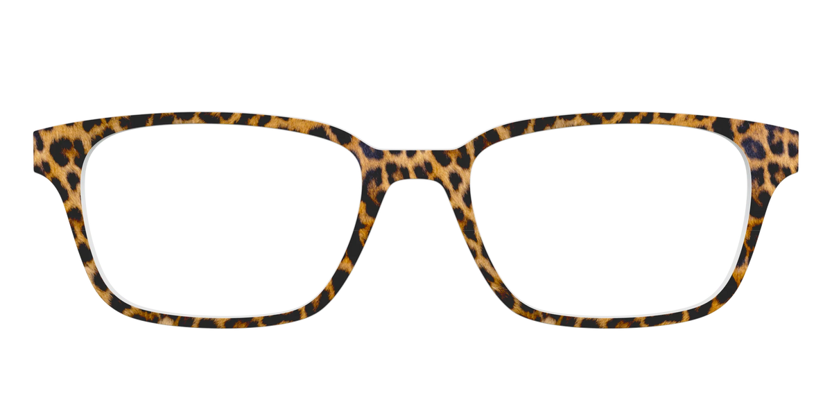 The Cheetah Spots