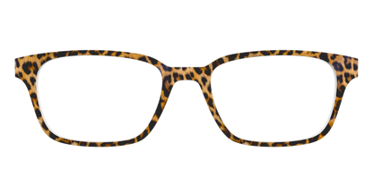 The Cheetah Spots