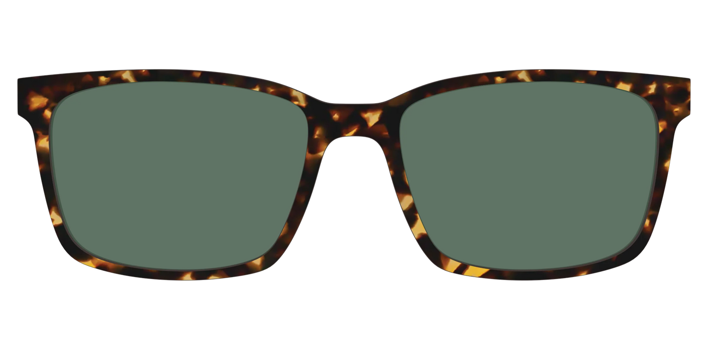 The Non-Polarized Green Tortoise Sun Top