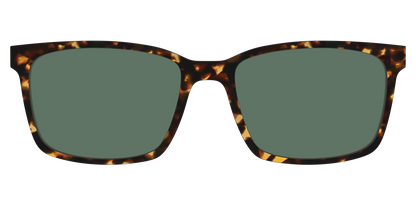 The Non-Polarized Green Tortoise Sun Top