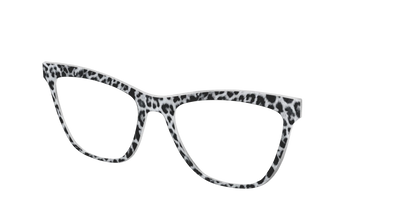 The Snow Leopard Spots