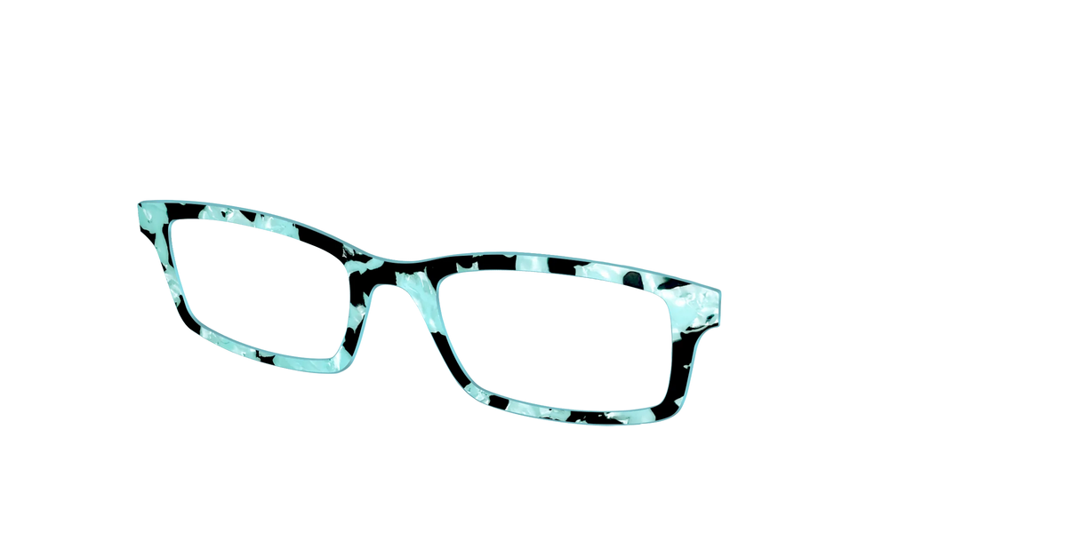 The Robin's Egg Pearl Tortoise