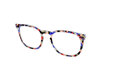 The Tempo Tortoise