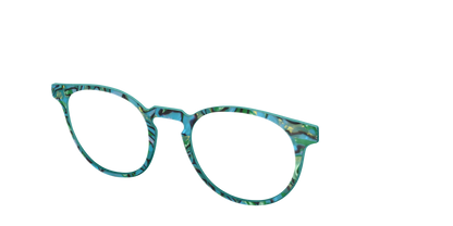 The Teal Turbo Shell
